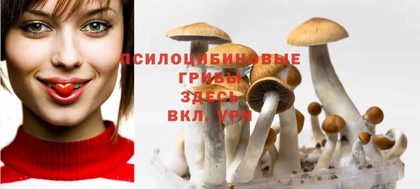 экстази Абаза