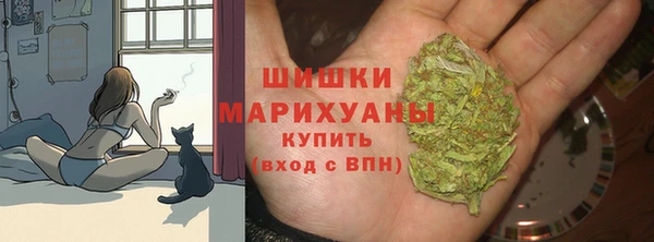 сатива Абинск