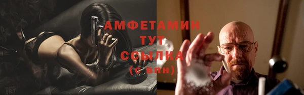 сатива Абинск