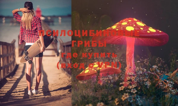 индика Абдулино