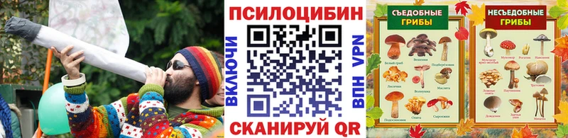 дарнет шоп  Горячеводский  Псилоцибиновые грибы MAGIC MUSHROOMS 